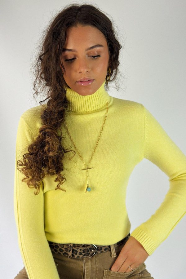 Pull col roulé THOKO