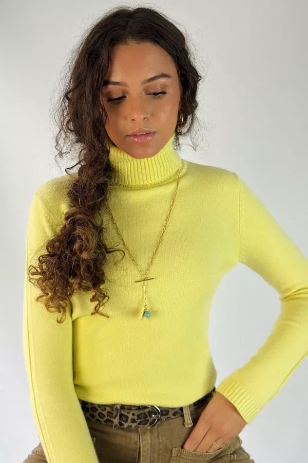 Pull col roulé THOKO