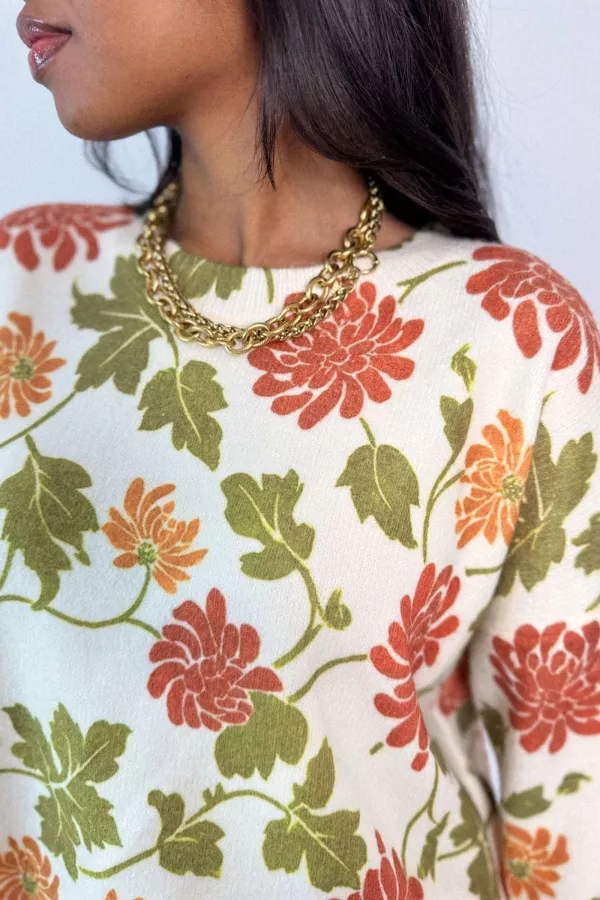 Pull imprimé HERMA